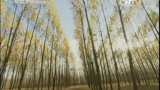 SHADOW THEATER - CHINESE FOLK ART (film 05, with translation into Russian).