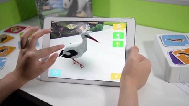 Fancy Zoo - set of AR cards (68 pcs.)