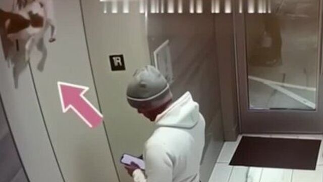 A guy rescues a dog stuck in an elevator door