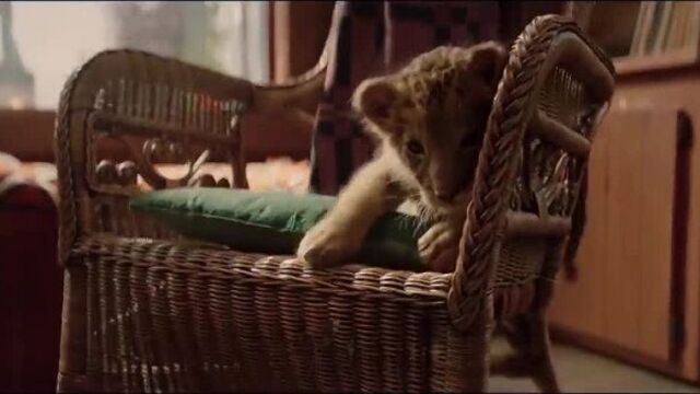 The Wolf and the Lion Russian 2021 Russian movie trailer