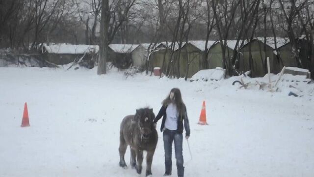 Katya and Max)
