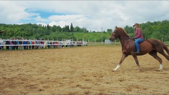 KSK "Vertical". The magical world of the horse.
