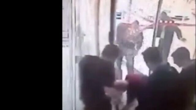 Rescue a cat stuck in a door