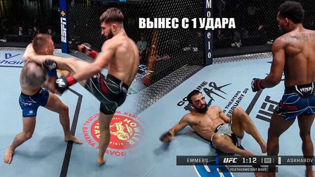 DEATH KNOCKOUT! UFC REVIEW: Khusein Askhabov, Nazim Sadikhov, Andrade, Miller, Hernandez, Blanchfield