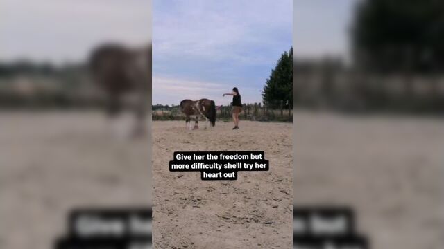 A blind eye is not a hindrance for a motivated pony