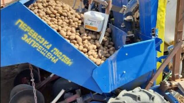 Application of fulvic acids on potatoes