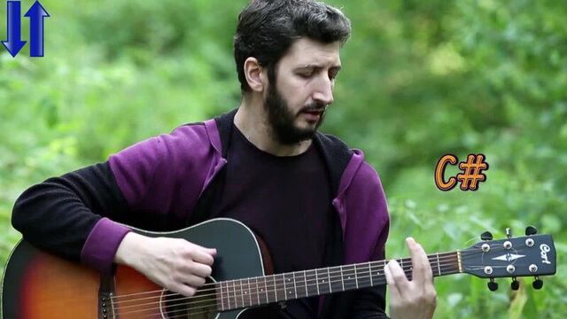 PETLURA - DARK WATER (Analysis on guitar, solo, chords) Timur Zolotov