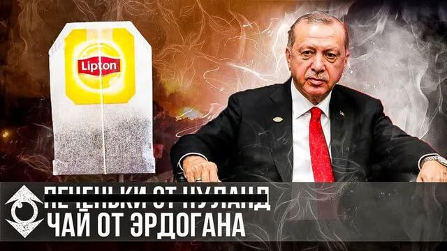 SURVEY OF TURKS | ERDOGAN, Türkiye, FIRES, TEA, GREAT TURAN