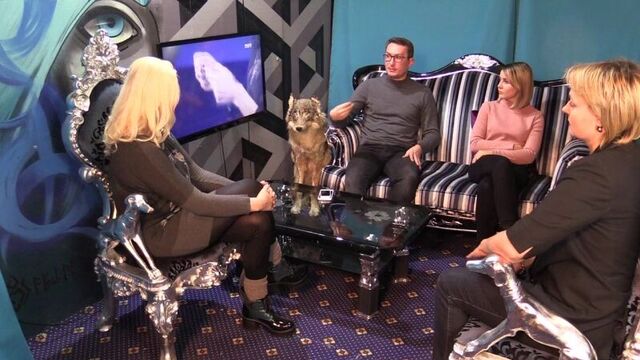 Battle of Psychics Season 18 Episode 7 with producer, TV viewer, psychic and restaurateur
