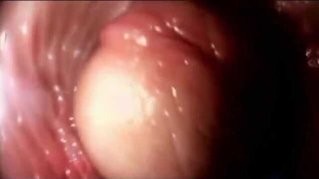 Video Porn presents: Dick in the vagina. (Video from a camera attached to a penis inside the vagina), 18+: