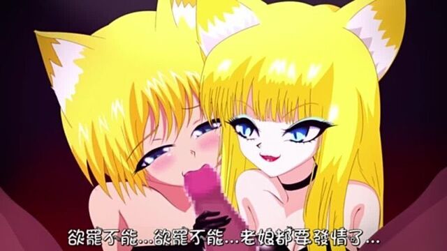 HENTAI WITH NEKO GIRLS