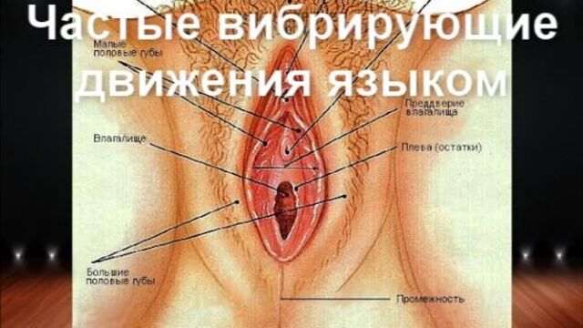 How to do cunnilingus, orgasm, anal sex and masturbation correctly