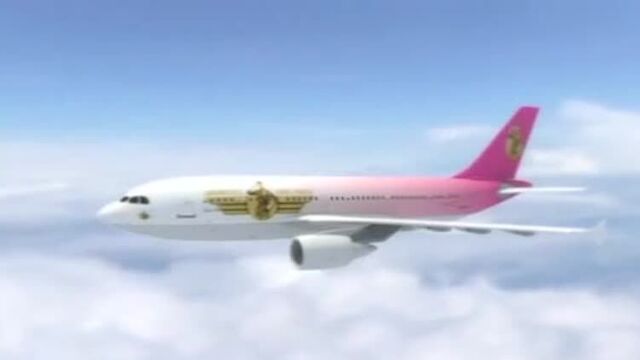 Porn on the plane (Flight DP 69 2009)