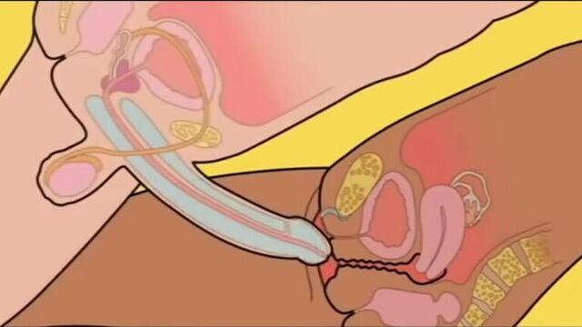 Video lesson on how to have sex correctly FUN
