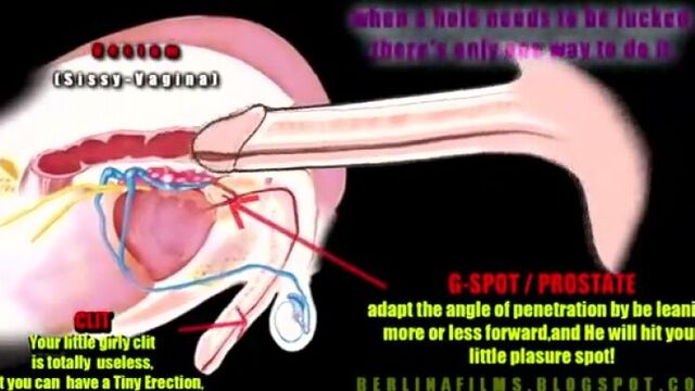 How to achieve anal orgasm! Must watch [sissy, shemale, trap, orgasm, cum, sex, slut]
