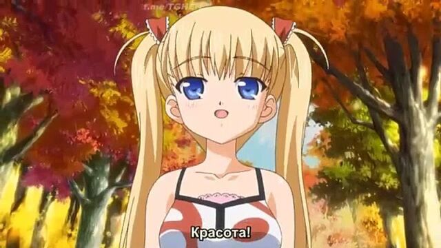 Porn anime, hentai