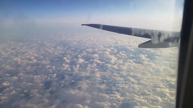 I gave a blowjob right on the plane (porn, incest, fucking, ponohub, milf, mom, pussy, sex, porno, fuck, mature, whore, loves anal)
