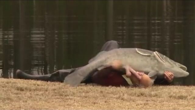 Fish with a dick