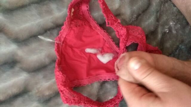 Cumming on my wife's red panties