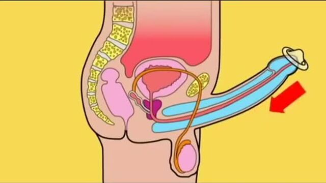 How to fuck properly)
