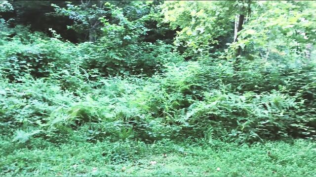 Real sex in the forest. fucked a tourist in a tent