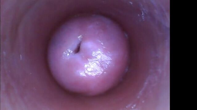 Women's pussy vagina from the inside