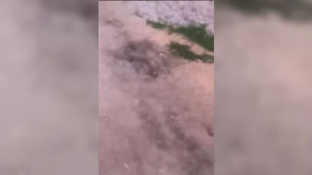 Video by PE 53 Veliky Novgorod. News
