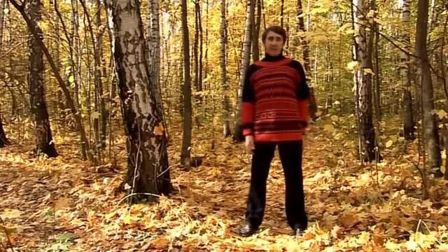 Breathing exercises by Strelnikova (without further ado and video)