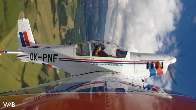 Naked female pilot on the wing of an airplane