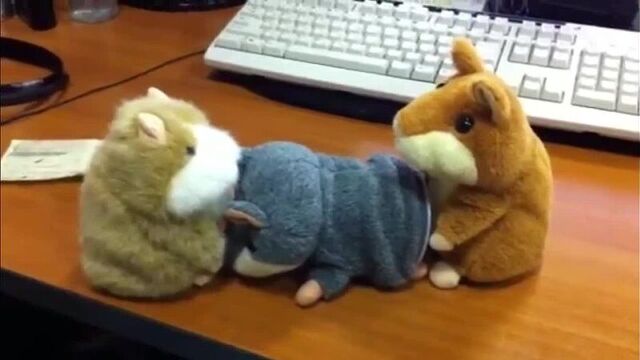 Porn. Talking hamsters sex! MEGA JOKE