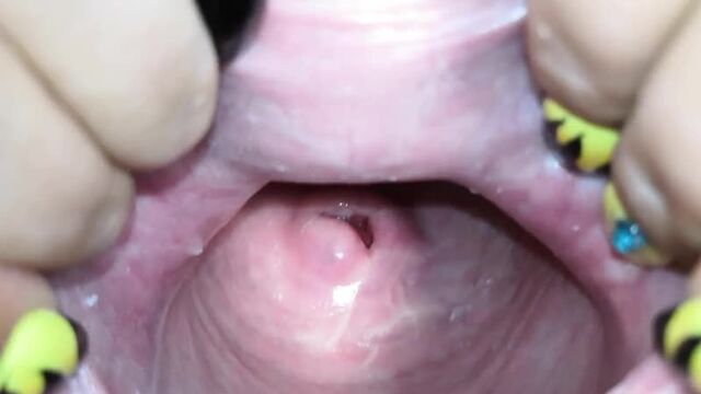 Female vagina close-up